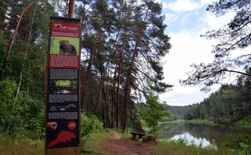 20_Karmazinu pazintinis takas1 (3).jpg